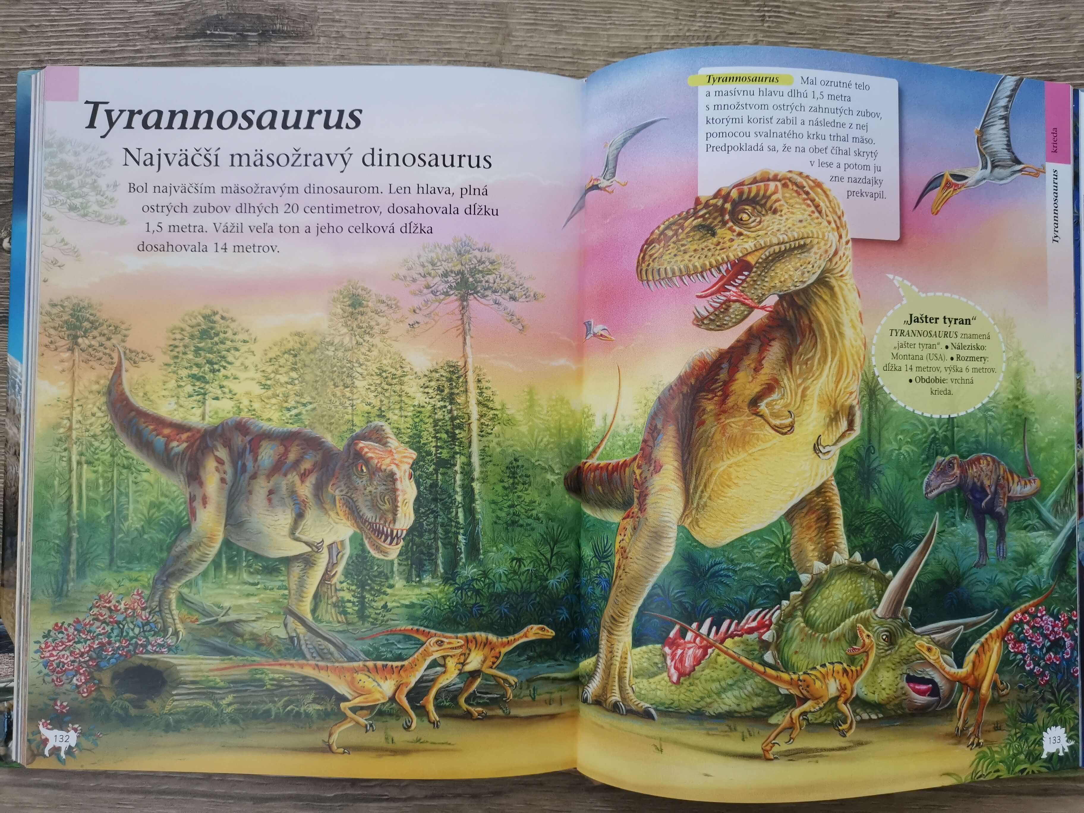 Veľká kniha Dinosaury